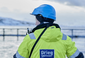Bilde av en arbeider med Grieg Seafood sin logo på arbeidstøyet