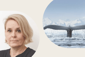 Toril og hvalhale i havet