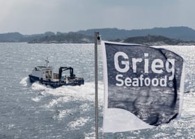 Bilde som viser en båt på havet og Grieg Seafood sin logo